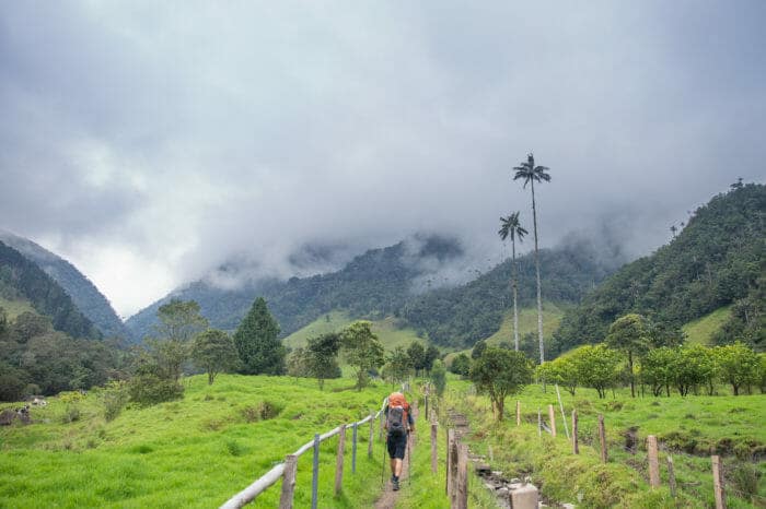 Cocora Valley (1 day)